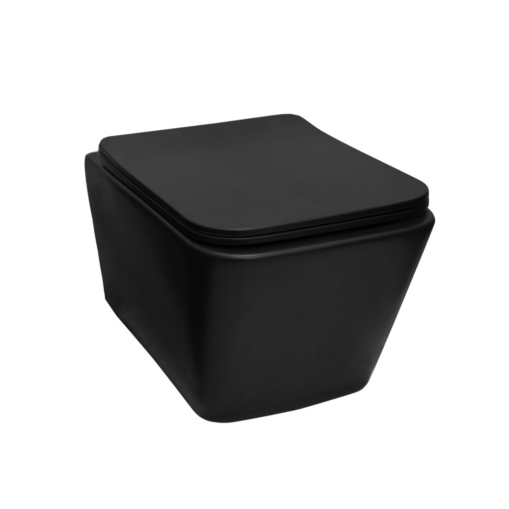 Matte Black Soft-Close Toilet Seat Fluminia Paris