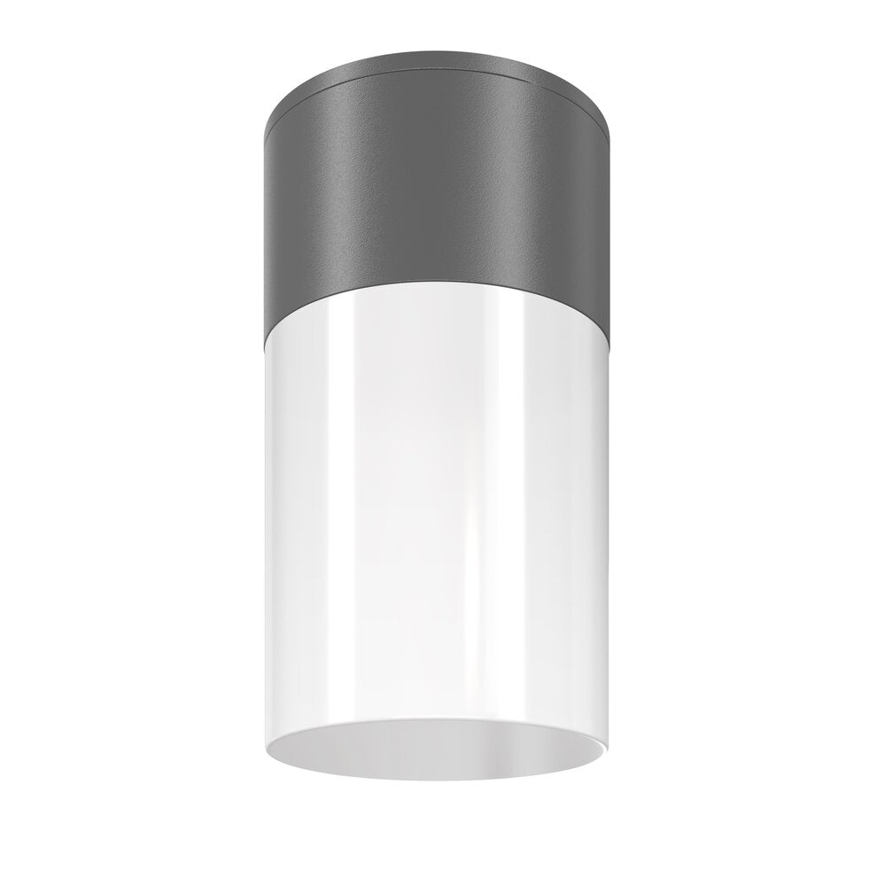 Maytoni Willis Graphite Ceiling Light 1 Bulb