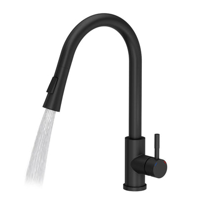 Quadron Pop Julia Matte Black Kitchen Faucet with Pull-Down Spray