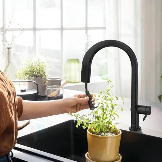 Смесител за кухня с извлекаем душ и воден филтър Hansgrohe Aquittura Select M91 черен мат 210 sBox с 1 струя