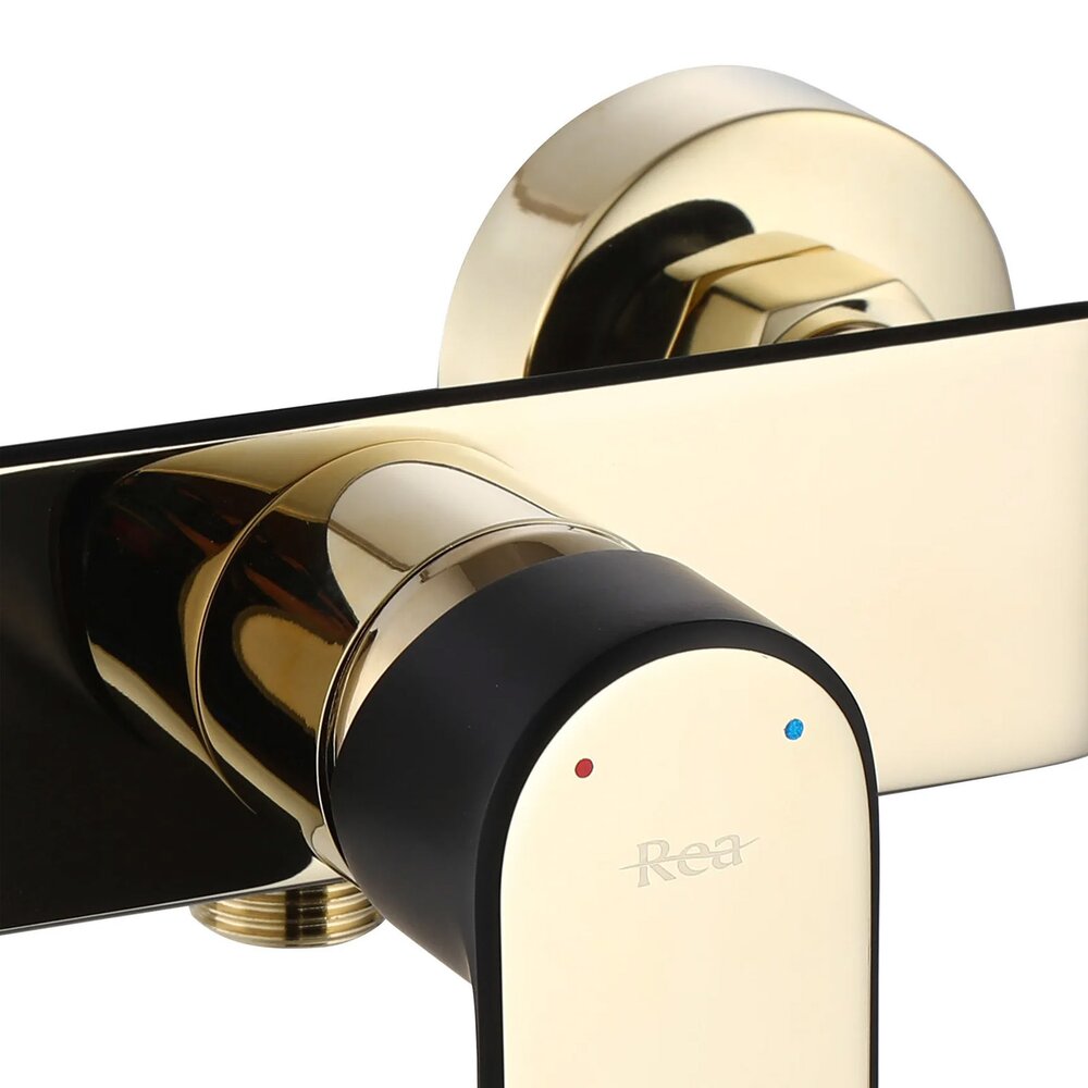 Rea Bloom Gold-Black Single-Lever Shower Faucet with Shower Set