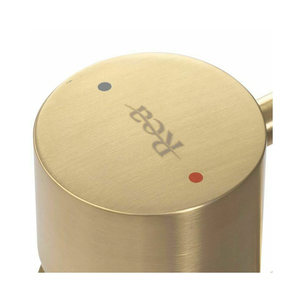 Rea Tess High Basin Mixer in Brushed Gold
