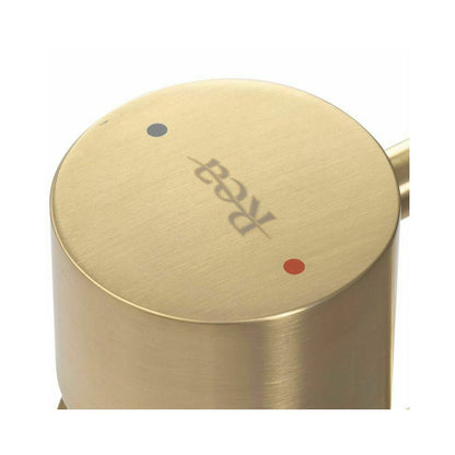 Rea Tess High Basin Mixer in Brushed Gold