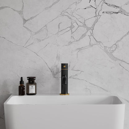 Basin Mixer Omnires Y Black/Gold