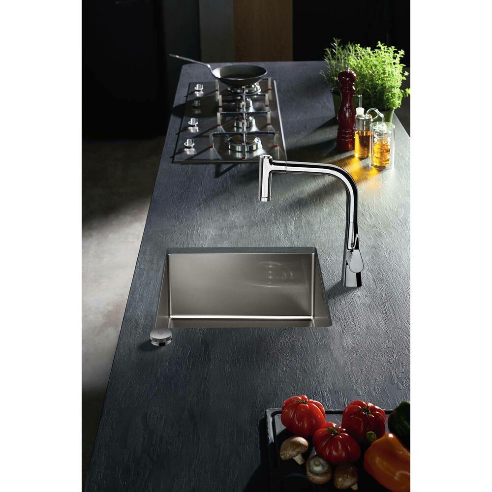 Hansgrohe Stainless Steel Kitchen Sink