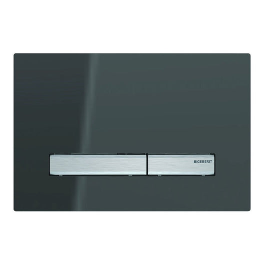 Geberit Sigma50 Flush Plate Smoked Glass