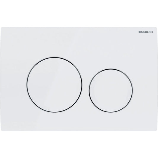 Geberit Delta20 Alpine White Flush Plate