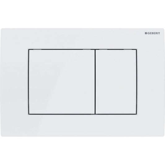 Geberit Delta30 Alpine White Flush Plate