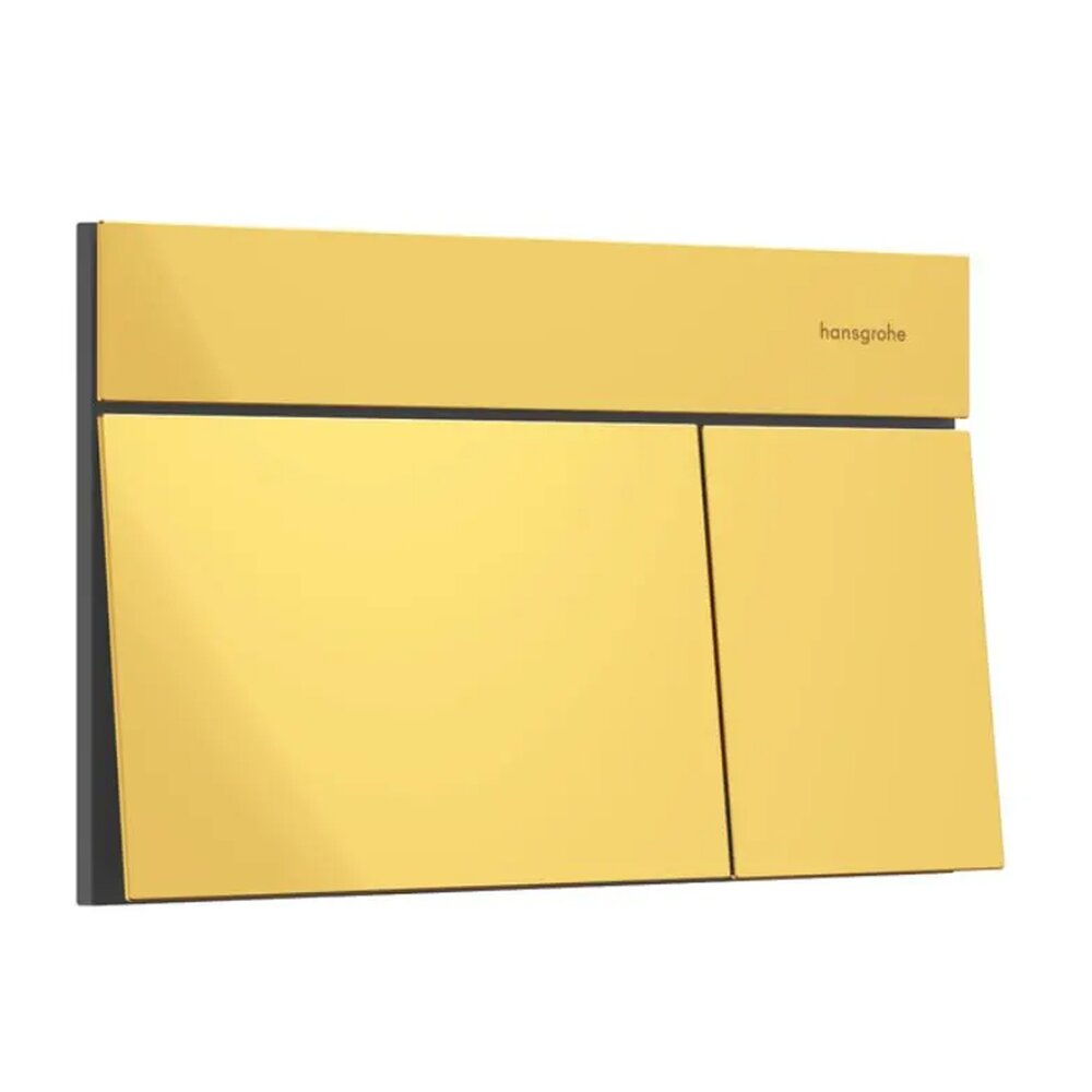 Клапа за действие Hansgrohe iFrame Element E в лъскаво злато