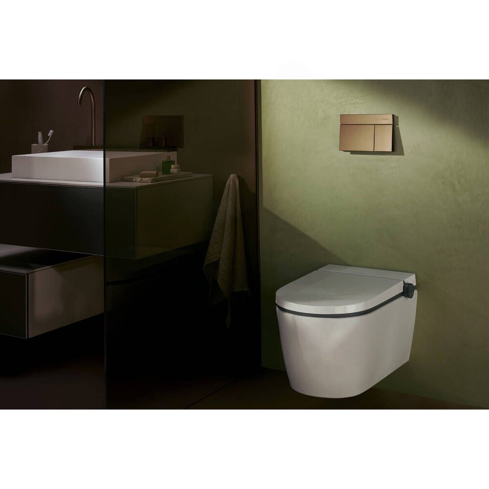 Клапа за управление Hansgrohe iFrame Element E бронз перят