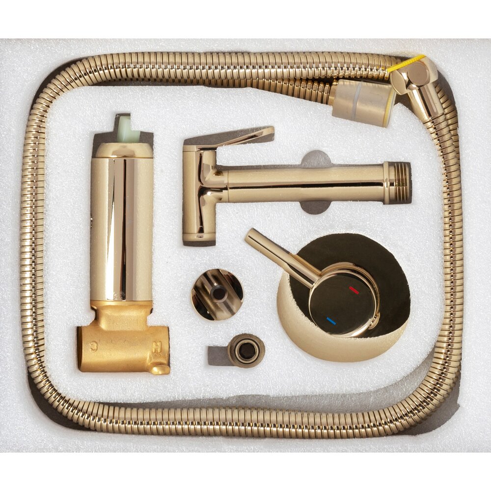 Rea Loop Glossy Gold Bidet Mixer with Hygienic Shower