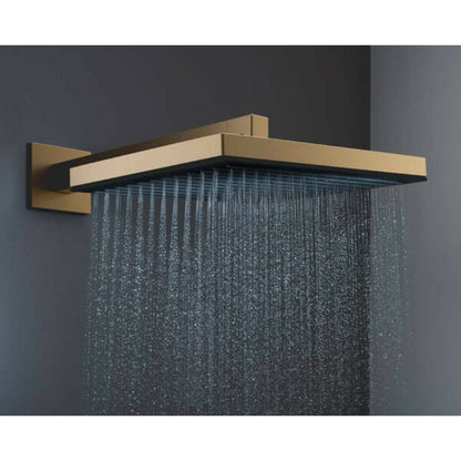 Brushed Bronze Shower Head Hansgrohe Pulsify E 260 with 1 Jet
