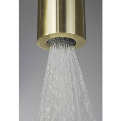 Fixed shower head Deante 4.2 cm gold
