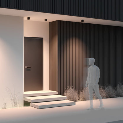 Maytoni Ares Graphite Ceiling Light
