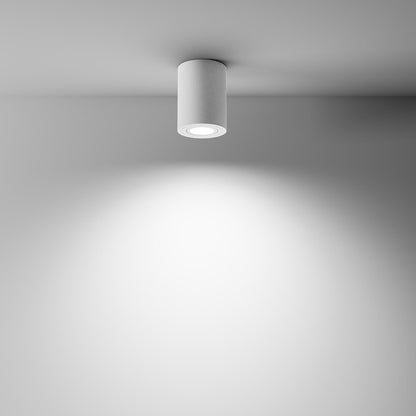 Плафонера Maytoni Atom бяла 1 брой