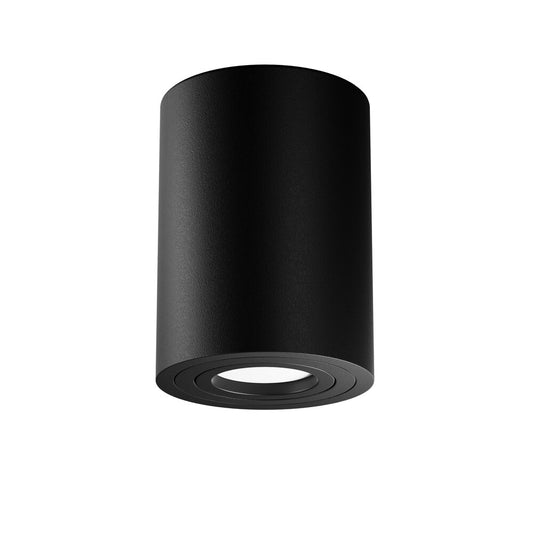 Maytoni Atom Black 1 Bulb Ceiling Lamp