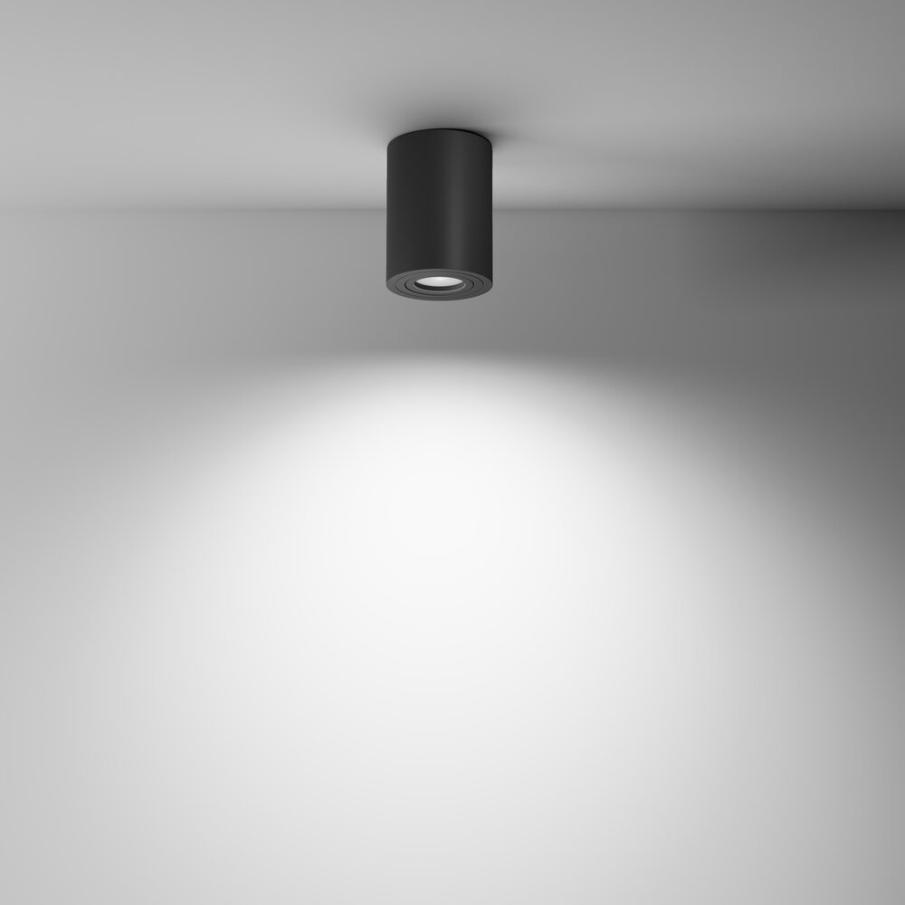 Maytoni Atom Black 1 Bulb Ceiling Lamp