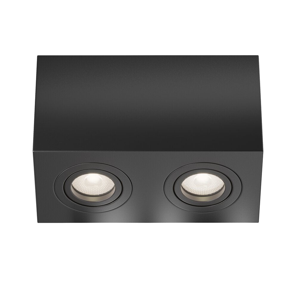 Maytoni Atom Black 2 Bulbs Ceiling Lamp
