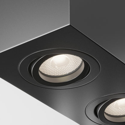 Maytoni Atom Black 2 Bulbs Ceiling Lamp
