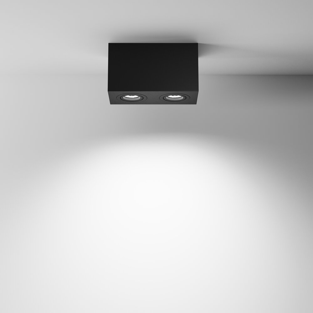 Maytoni Atom Black 2 Bulbs Ceiling Lamp