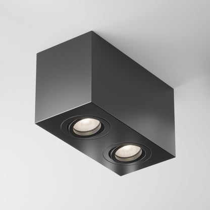 Maytoni Atom Black 2 Bulbs Ceiling Lamp