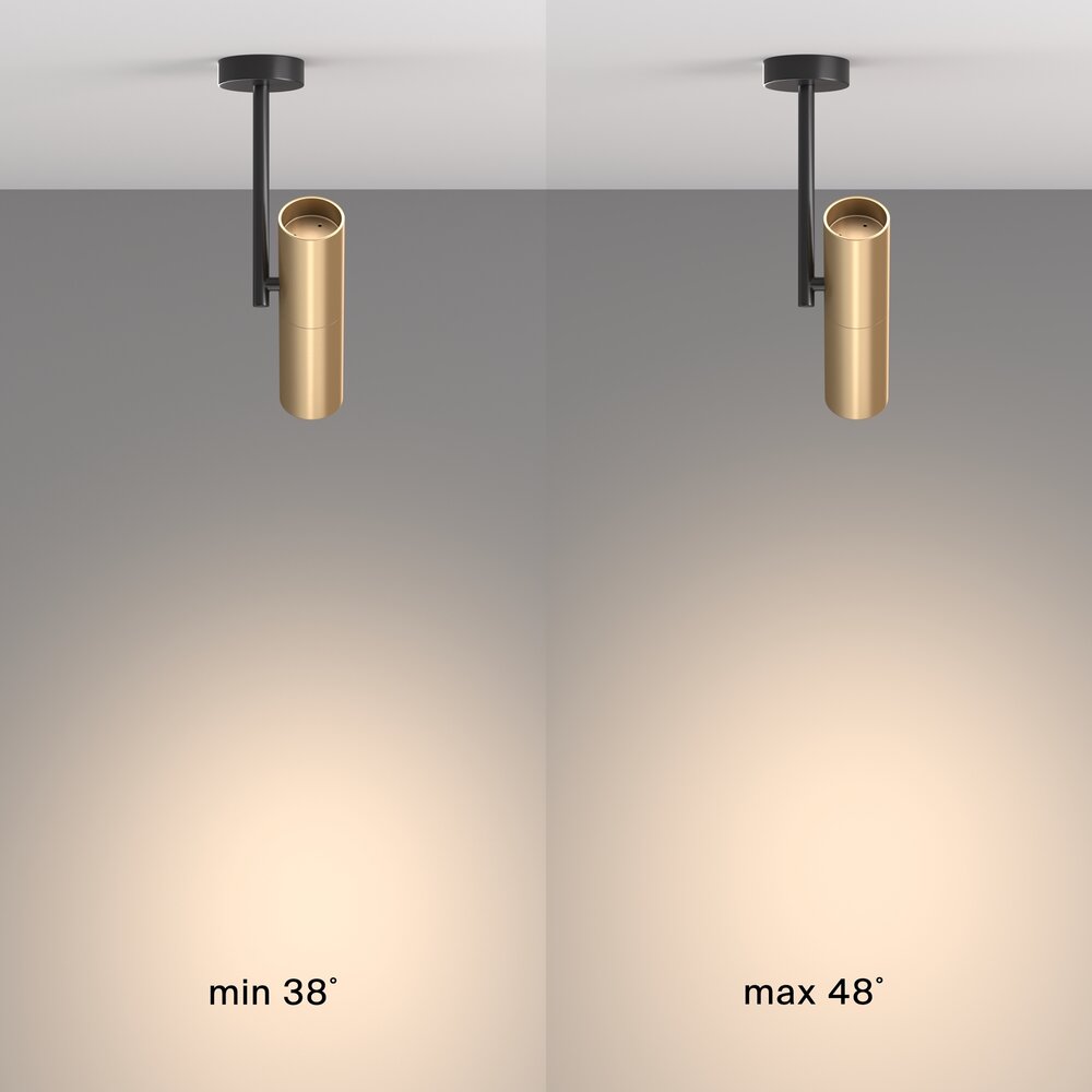 Maytoni Elti Black/Black Ceiling Light 1 Bulb 8 x 11.5 cm