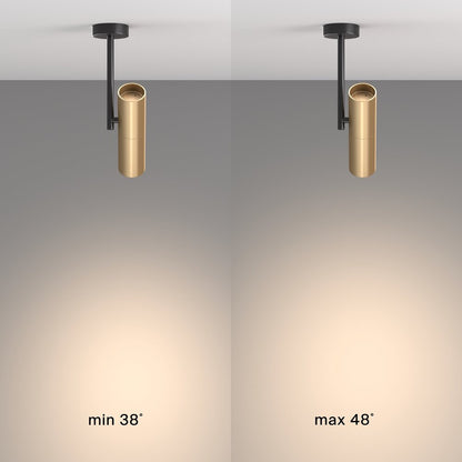 Maytoni Elti Black/Black Ceiling Light 1 Bulb 8 x 11.5 cm