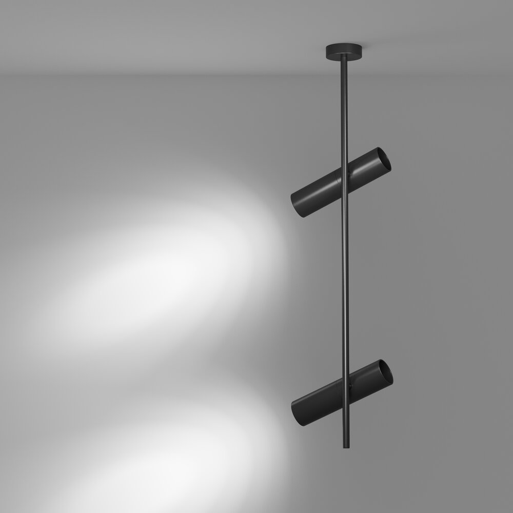 Maytoni Elti Black/Black 2 Bulbs Ceiling Lamp