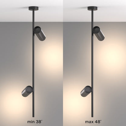 Maytoni Elti Black/Black 2 Bulbs Ceiling Lamp