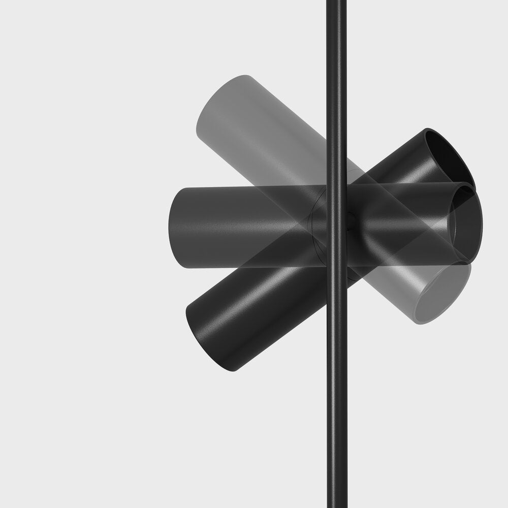 Maytoni Elti Black/Black 2 Bulbs Ceiling Lamp