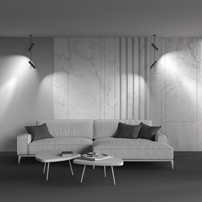 Maytoni Elti Black/Black 2 Bulbs Ceiling Lamp