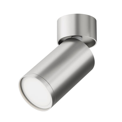 Maytoni FOCUS S Silver 1 Bulb Ceiling Lamp
