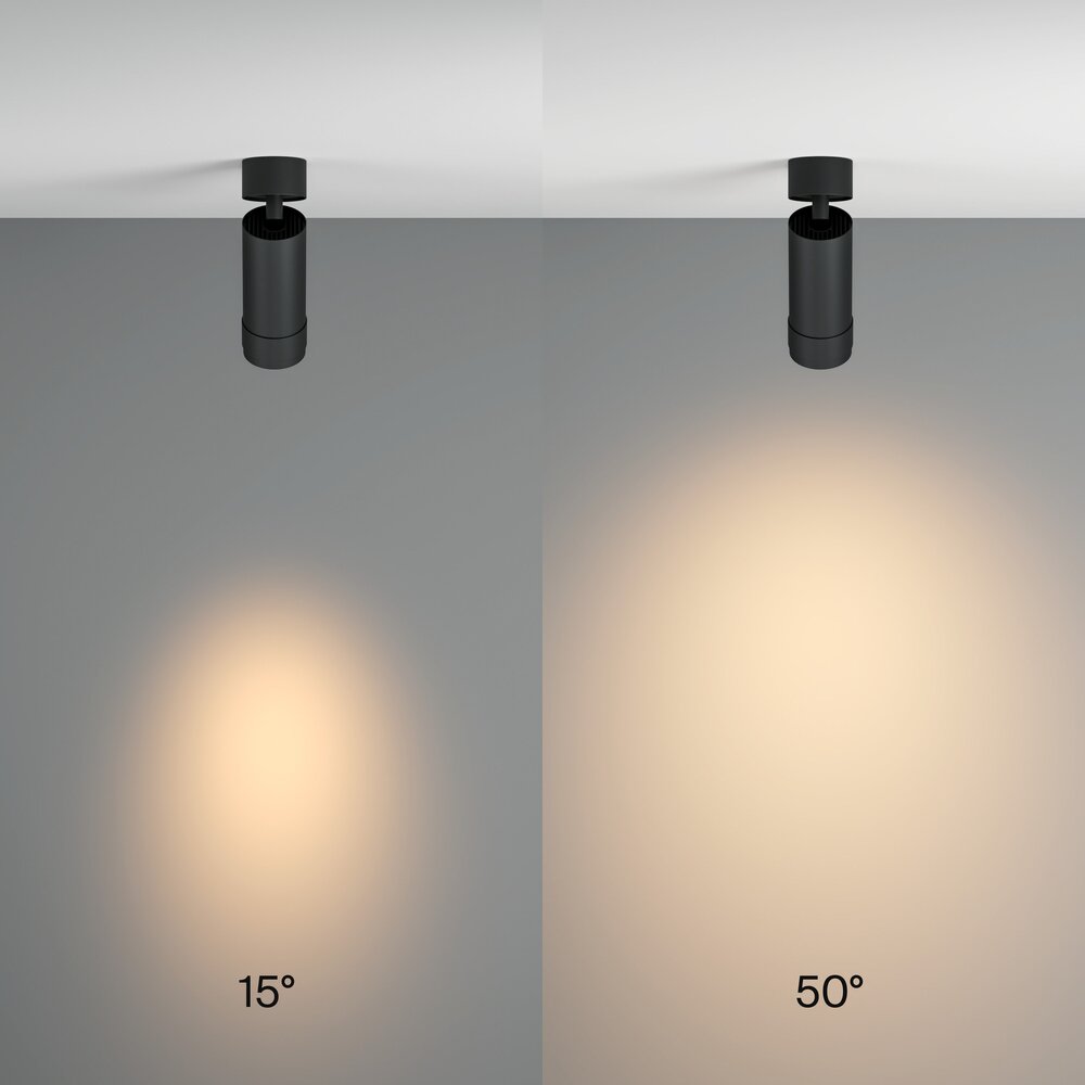 Maytoni Focus Zoom Black Ceiling Light C055CLL12W3KZB