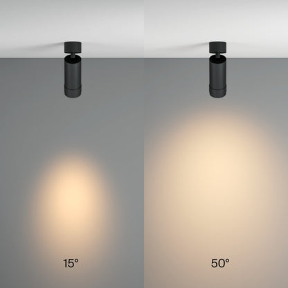 Maytoni Focus Zoom Black Ceiling Light C055CLL12W3KZB