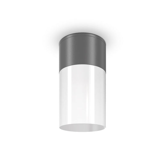 Maytoni Willis Graphite Ceiling Light 1 Bulb