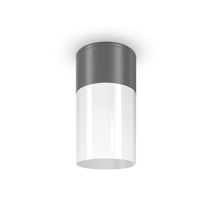 Maytoni Willis Graphite Ceiling Light 1 Bulb