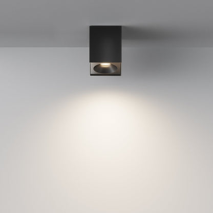 Maytoni Zoom Black Ceiling Light 1 Bulb C030CL01B