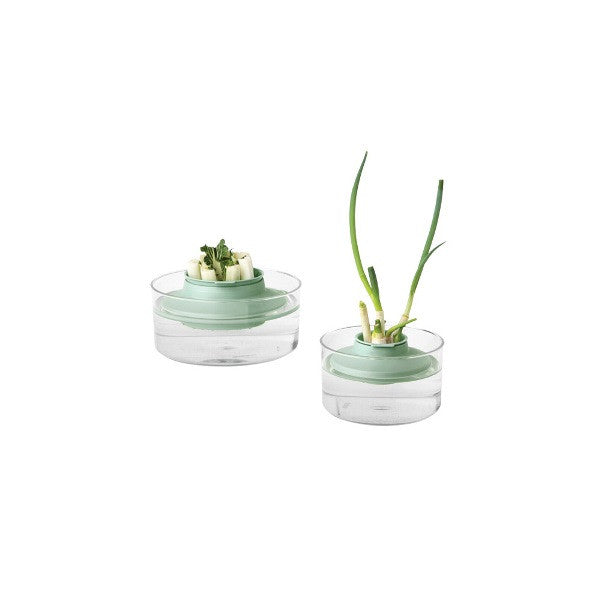 Комплект за съхранение на пресни подправки Brabantia Tasty+ Jade Green 1001196
