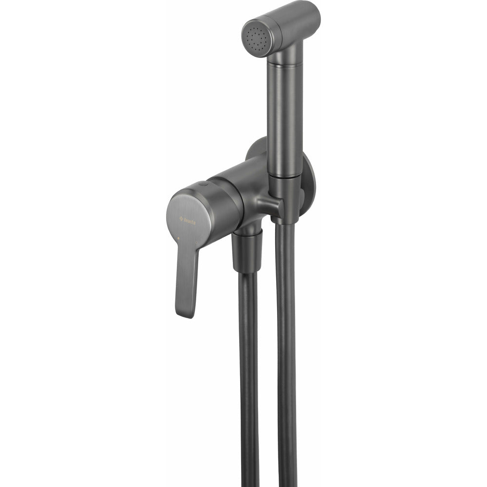 Deante Arnika Hygienic Shower with Built-in Faucet Grey