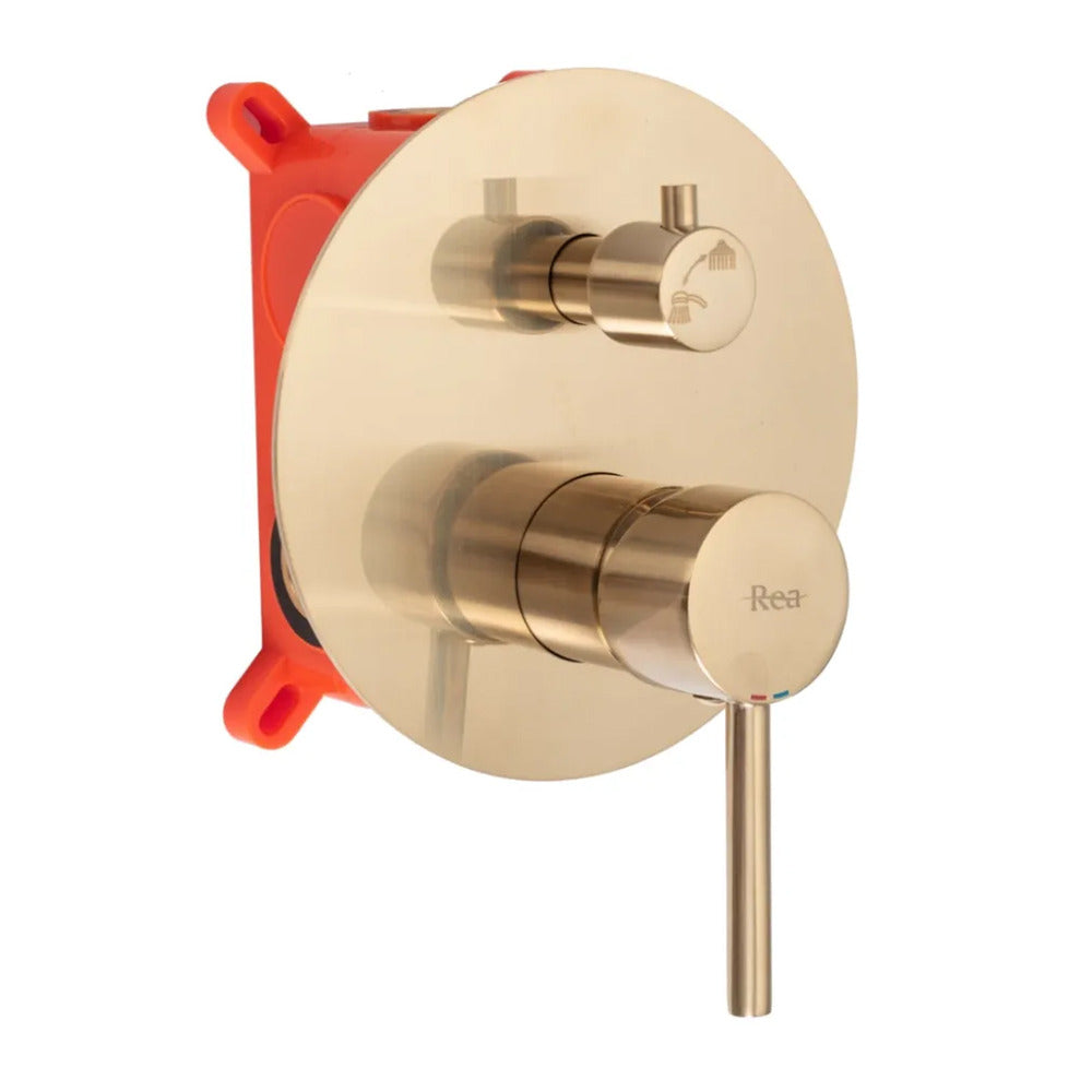 Rea Lungo Built-in Shower System Gold Brushed Finish