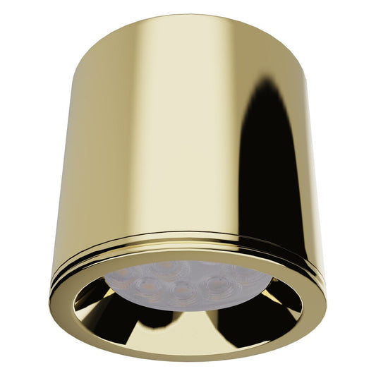 Brushed Gold Spot Maxlight Form