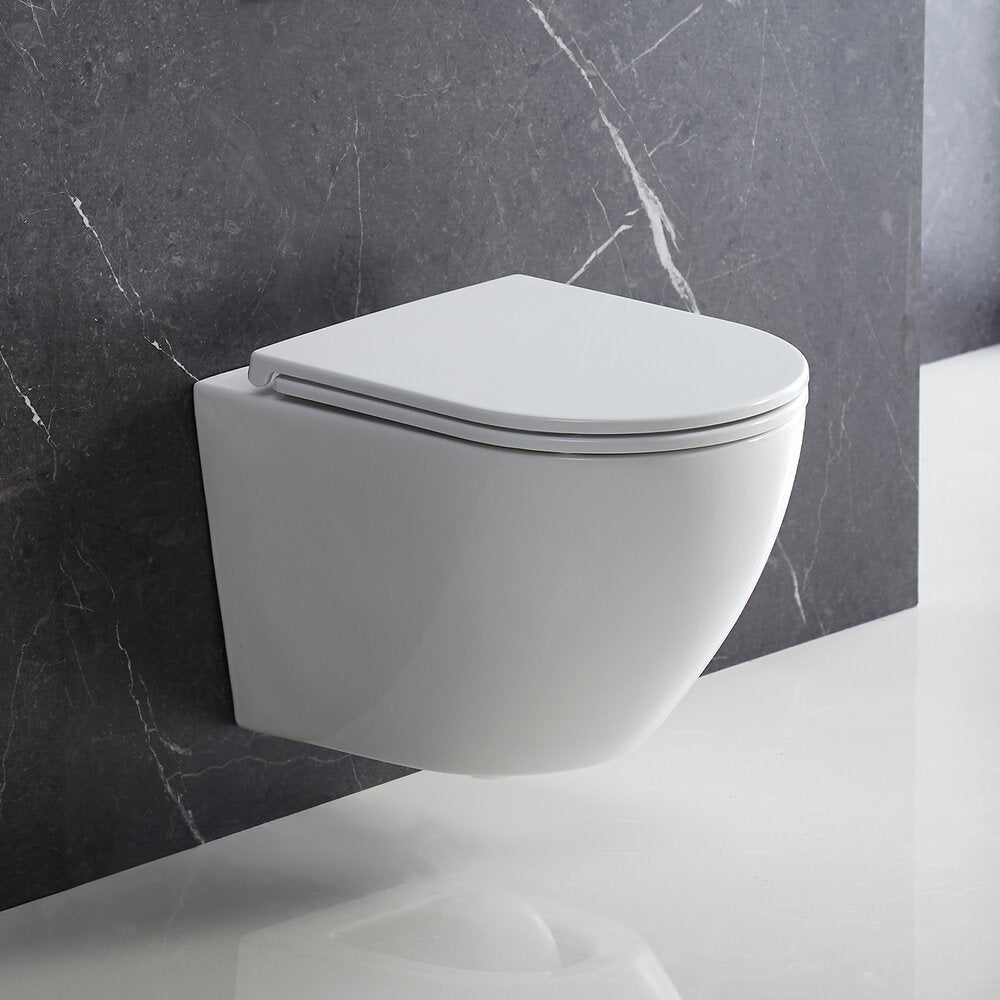 Wall-hung rimless toilet with soft-close seat Omnires Ottawa white
