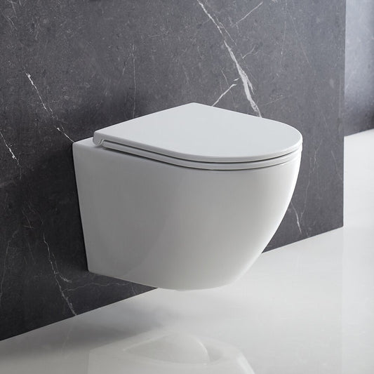 Wall-hung rimless toilet with soft-close seat Omnires Ottawa white